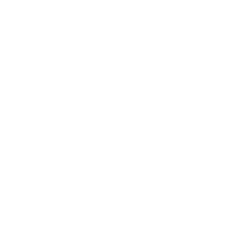 Neuron